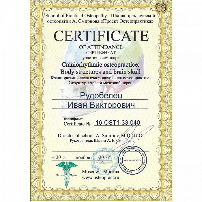 Сертификат сети салонов красоты Мишель Экзертье: Пульсовая диагностика Веда-пульс