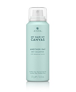 Alterna : MY HAIR MY CANVAS Another Day Dry shampoo (mini)