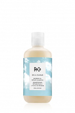 R+Co : R+CO ON A CLOUD BAOBAB OIL REPAIR SHAMPOO НА ОБЛАКЕ ШАМПУНЬ ДЛЯ ВОССТАНОВЛЕНИЯ ВОЛОС С МАСЛОМ БАОБАБА